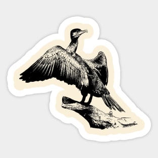 Cormorant Sticker